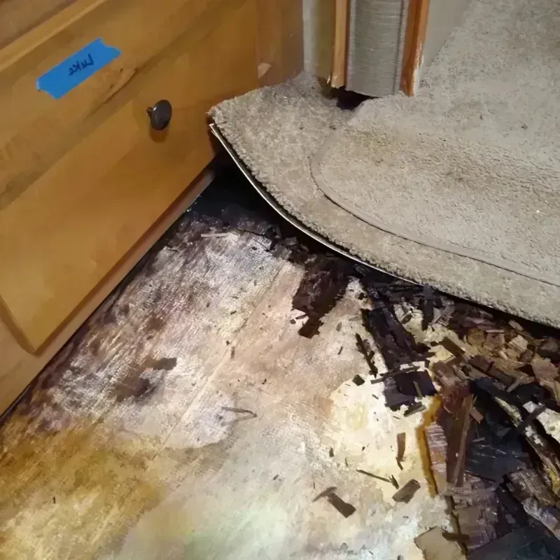 Wood Floor Water Damage in Apopka, FL